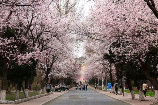 /uploads/allimg/190402/104S2A43-3.png 解锁清明小长假最全路线!这款车的车主真叫人羡慕!865.png